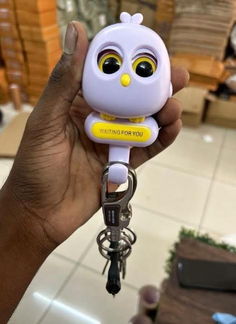 Keychain Wall Owl Night Magnetic Key Holder – Cute & Functional Decor