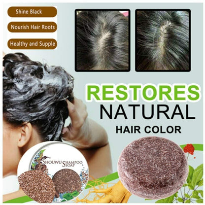 Organic Grey Reverse Shampoo Bar - Natural Conditioner & Repair (Pack of 2)