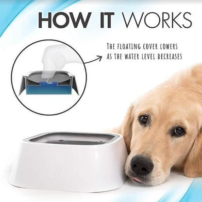 Pet Bowl Floating Anti- Overflow - noQMall