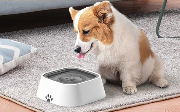 Pet Bowl Floating Anti- Overflow - noQMall