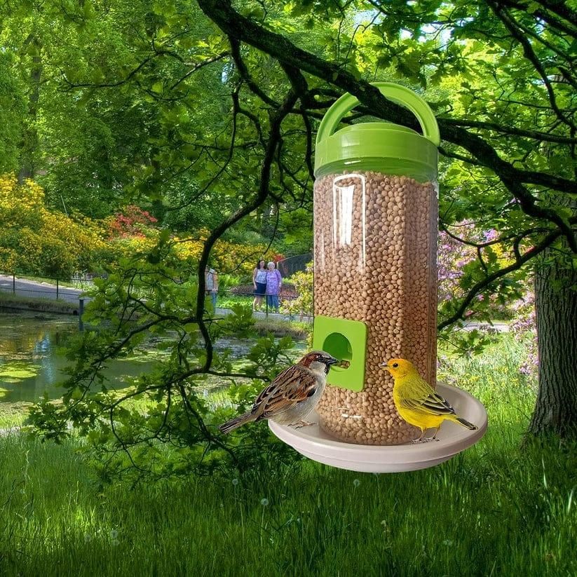 Invite Nature to Your Balcony with Bird Food and Water Feeder