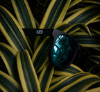 NoQMall PAB Re:Vision Wayfarers sunglasses with polarized lenses, UV protection, and sustainable design.