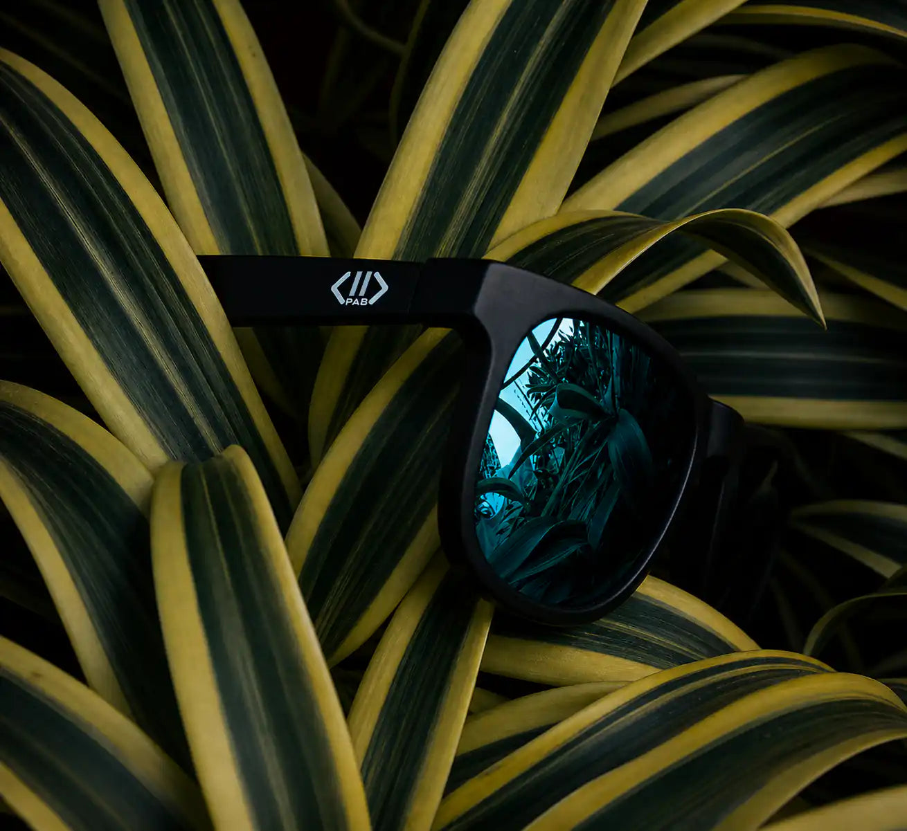 NoQMall PAB Re:Vision Wayfarers sunglasses with polarized lenses, UV protection, and sustainable design.